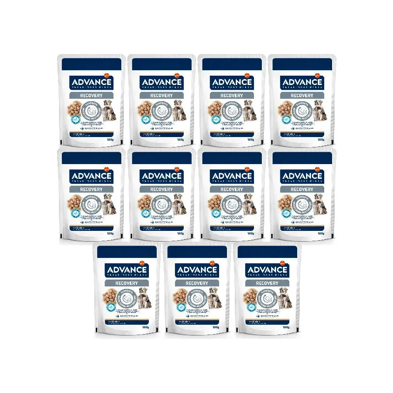 Advance Wet Pet Food, Wet Food, Single Serve, 11 x 100 g