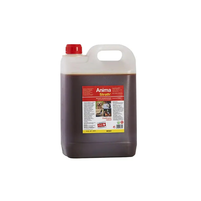 Stangest Anima-Strath 20 L