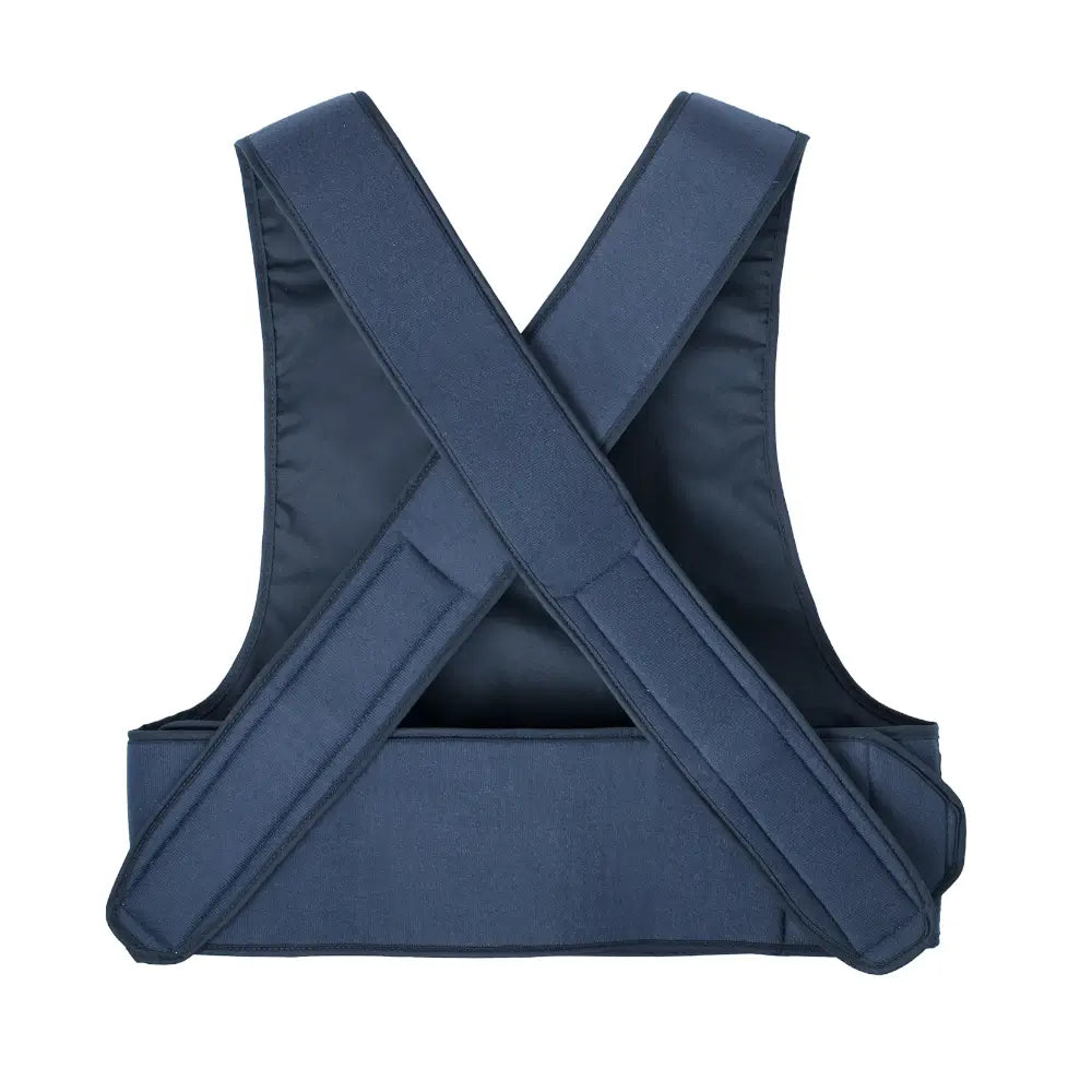wheelchair safety harness