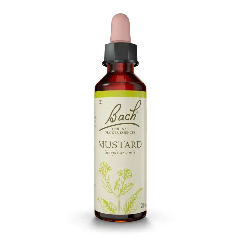 Bach Mustard 20 ml