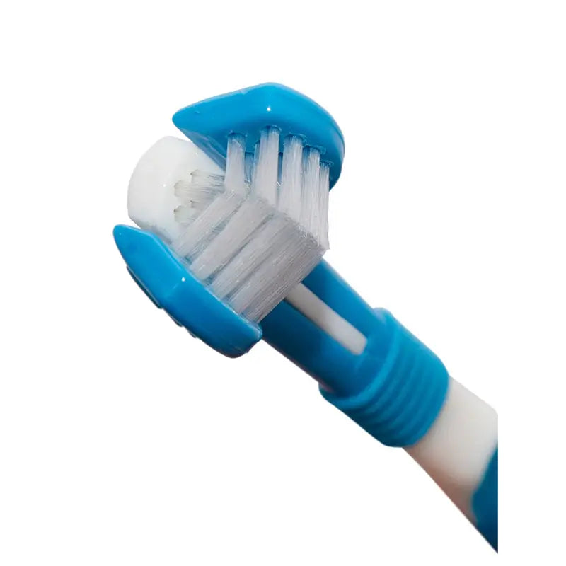 Stangest Difresh Toothbrush With Case