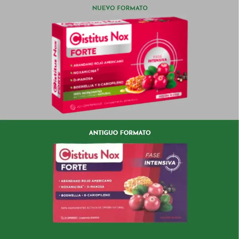 Cistitus Nox Forte, 2X20 Tablets