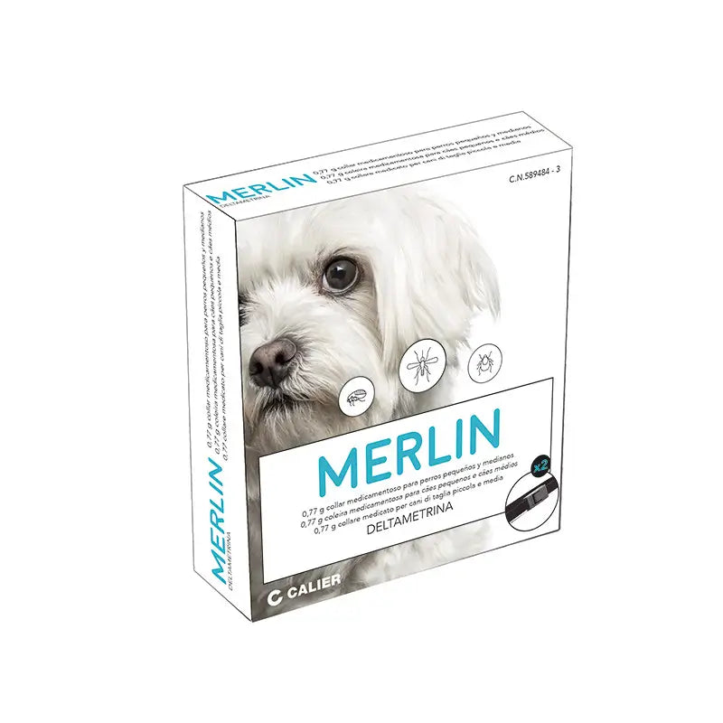Merlin Necklace, 48 cm 1 Piece