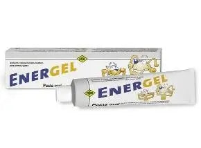 Energel Oral Paste 80 gr