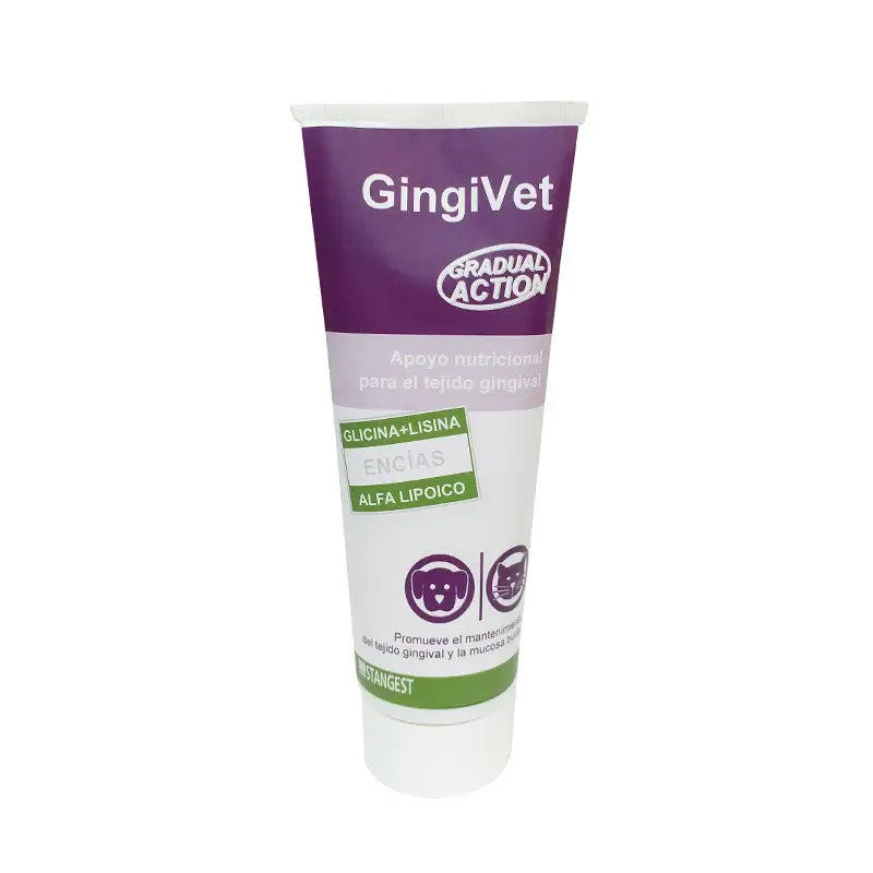Stangest Gingivet Paste, 100 Gr