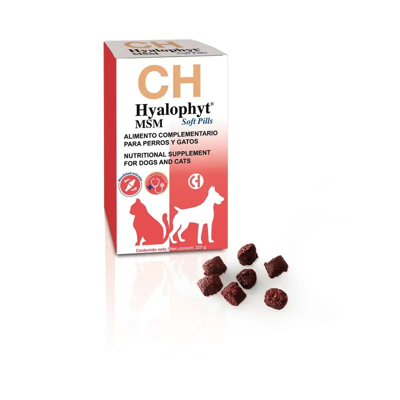 Chemical Hyalophyt MSM Soft Pills, 225 g