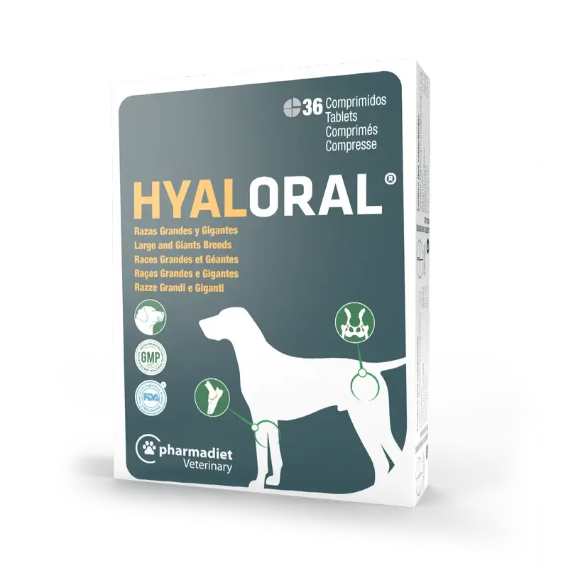 Hyaloral Large & Giant Breed Dog, 36 tablets