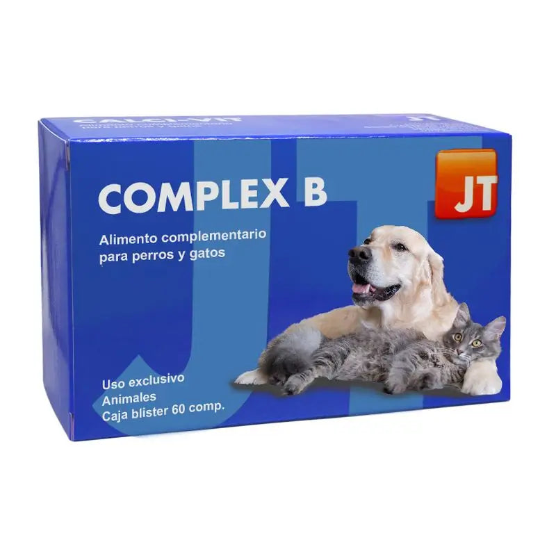 JTPharma Complex B, 60 tablets