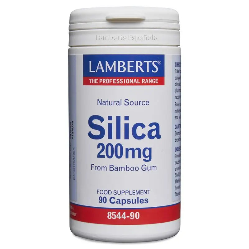 Lamberts Silicon , 90 capsules