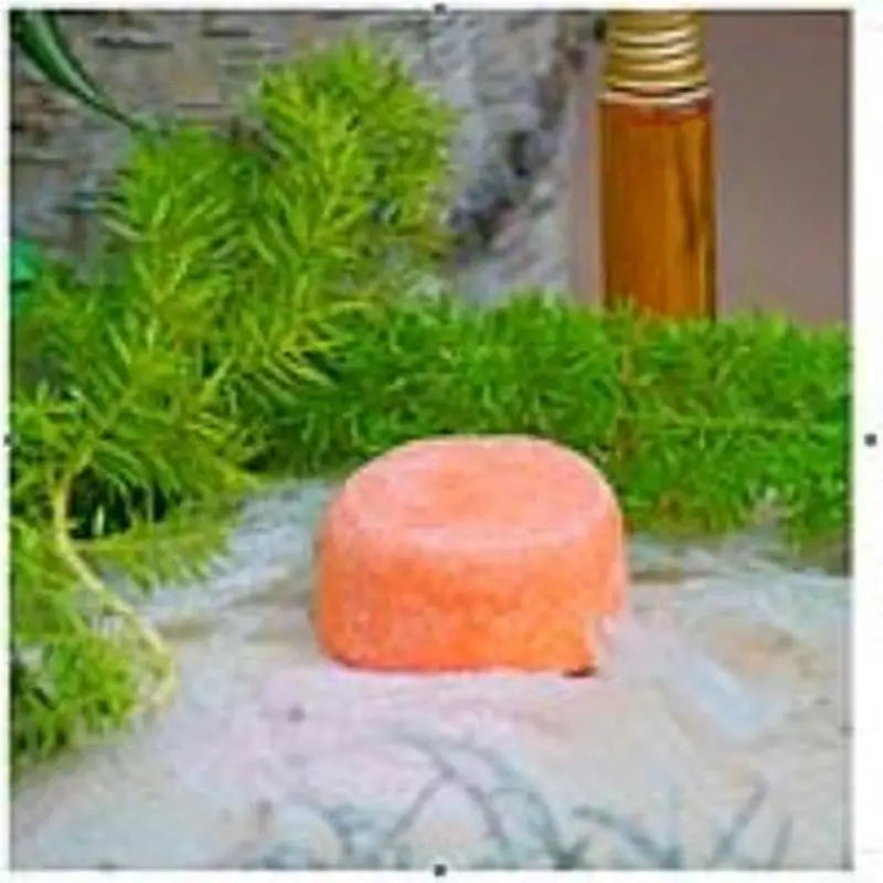 Nitx Solid Shampoo Volume 85Gr.
