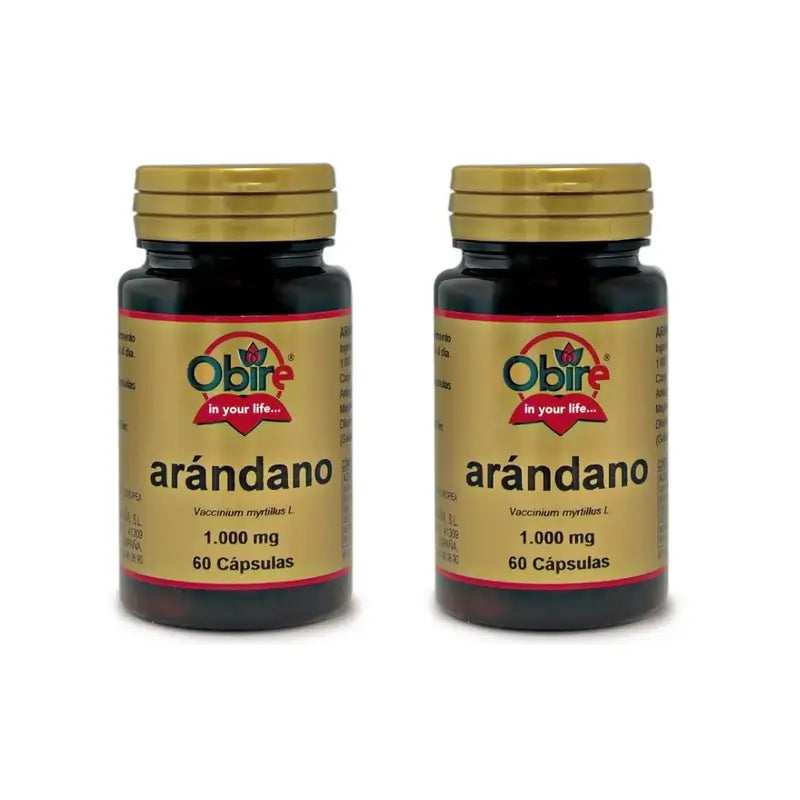 Obire Bilberry, 2X60 Capsules
