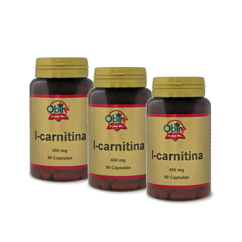 Obire L-Carnitine, Pack of 3 x 90 capsules