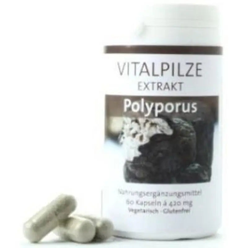 Pilze Wolhrab Polyporus 60 Capsules