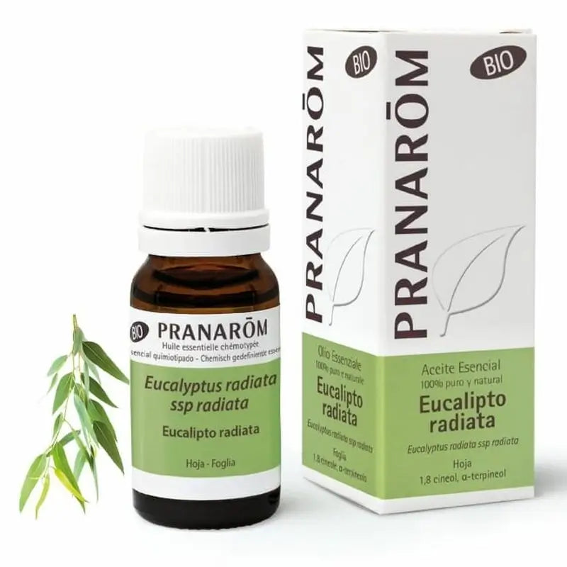 Pranarom Essential Oil Eucalyptus Radiata, 30ml