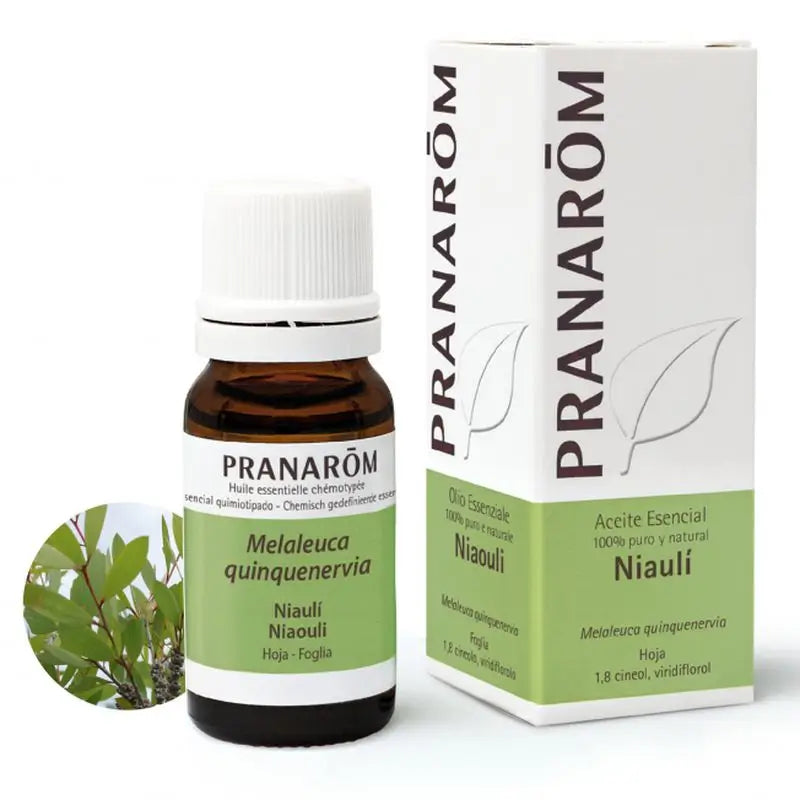 Pranarom Niaouli Essential Oil, 10ml