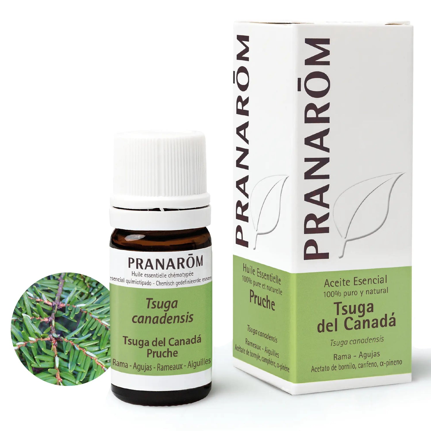 Pranarôm Tsuga From Canada 5 ml