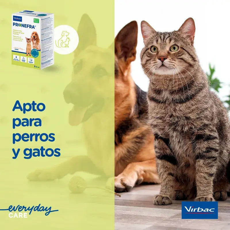 Virbac Pronefra Renal Supplement For Dogs and Cats, 180 ml