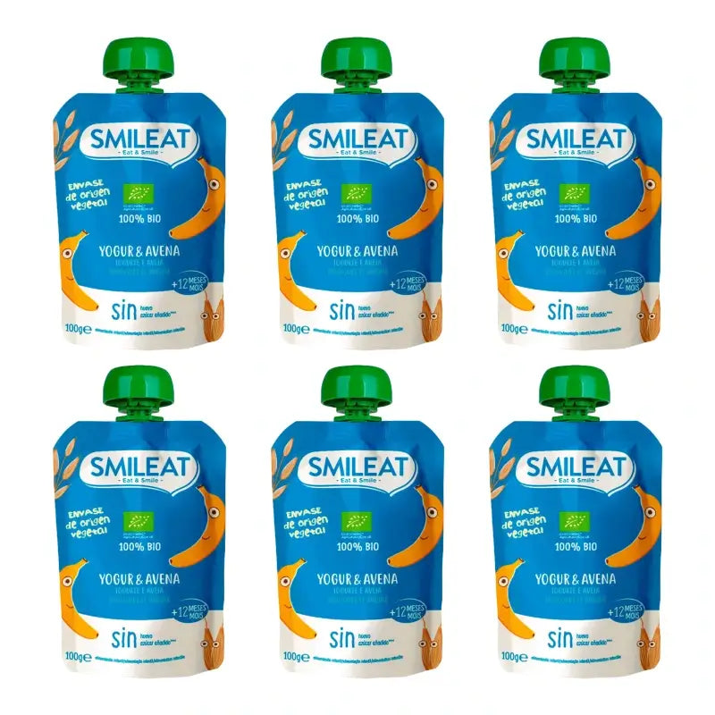 Smileat Yoghurt and Oats Pouch, 100 g, pack of 6