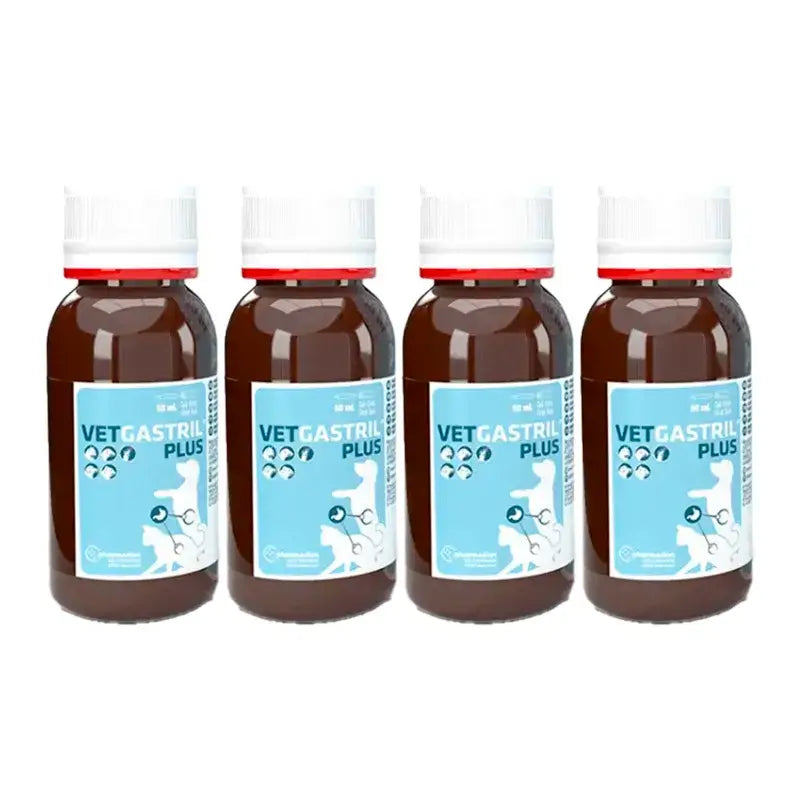 Vetgastril Plus Gastric Protector for Dogs and Cats, Pack 4 x 50 ml