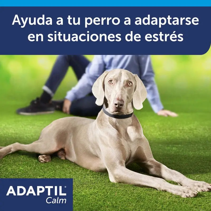 Ceva Collar Adaptil 70 cm Pheromones Anti-Stress Collar