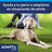 Ceva Collar Adaptil 70 cm Pheromones Anti-Stress Collar