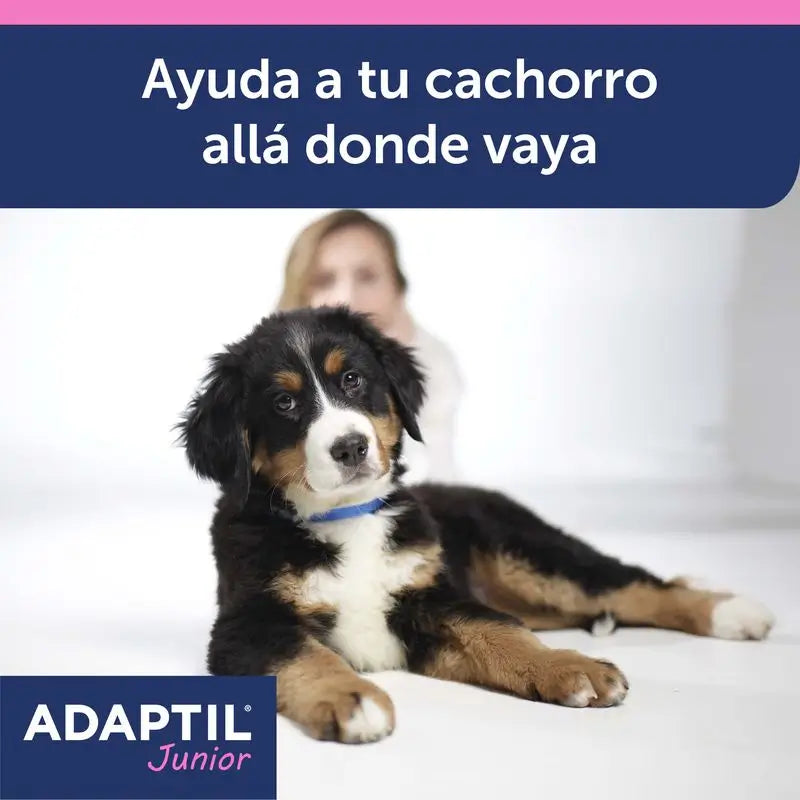 Ceva Adaptil Junior Collar