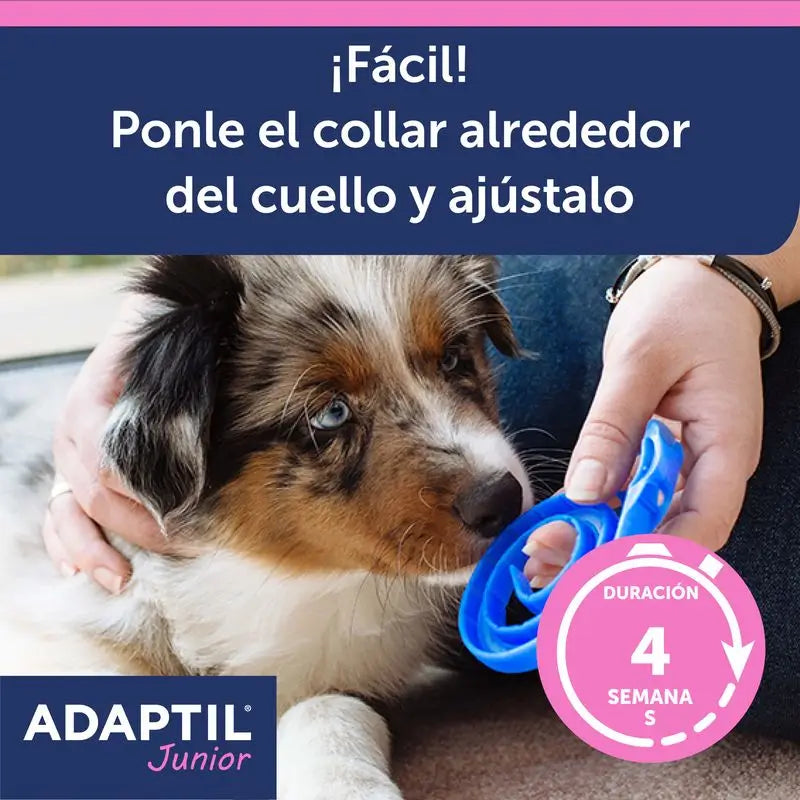 Ceva Adaptil Junior Collar