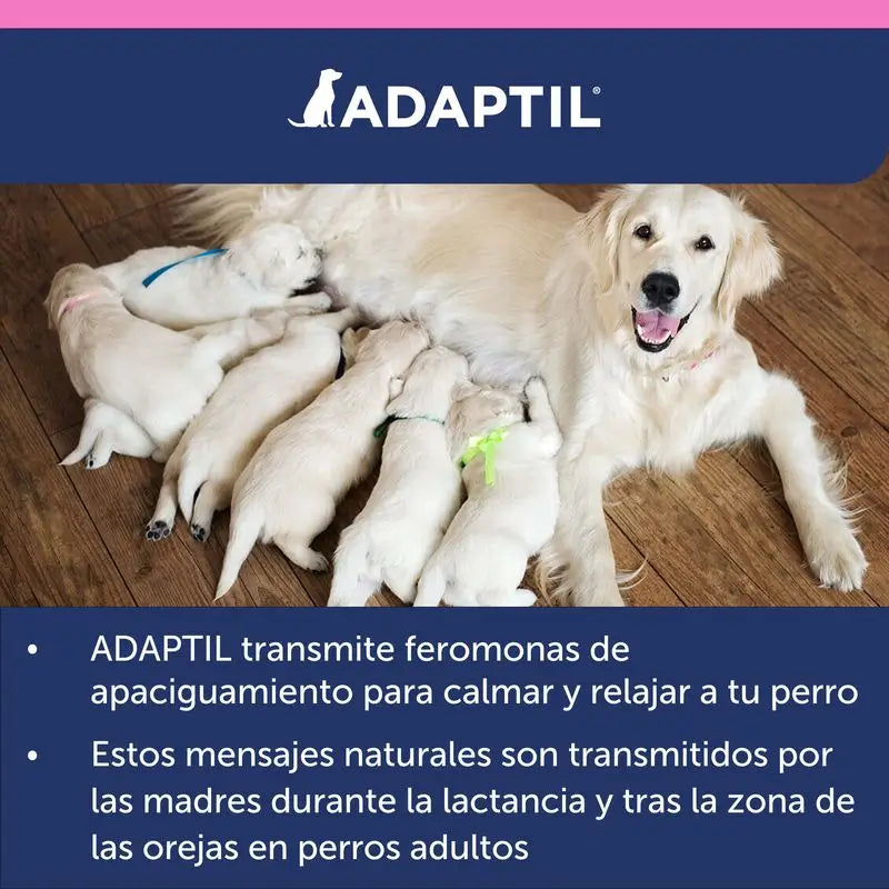 Ceva Adaptil Junior Collar