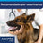 Adaptil Refill 48 ml, 1Month