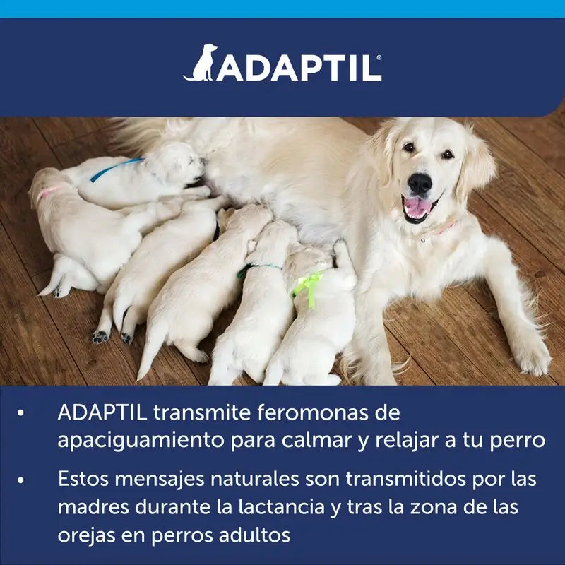 Adaptil Refill 48 ml, 1Month