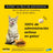 AdTab 48Mg Chewable Tablets Cats 2-8Kg, 1Cpd