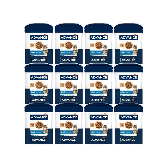 Advance Wet Cat Food with Chicken, 12 x 85 g