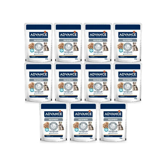 Advance Wet Pet Food, Wet Food, Single Serve, 11 x 100 g