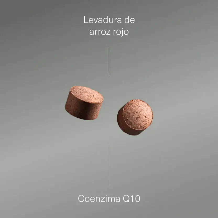 Aldous Bio Aldous Red Yeast Rice With Coenzyme Q10 , 400 tablets