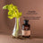 APIVITA Anti-Dry Dandruff Shampoo with Celery & Propolis 250 ml