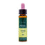 Artesania Holly Plantis Bach Flowers No. 15 10Ml.