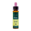 Artesania Willow Plantis Bach Flowers No. 38 10Ml.