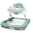 Asalvo 3 In 1 Walking Frame Pinchi Green