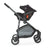 Asalvo Convertible Biarritz Black