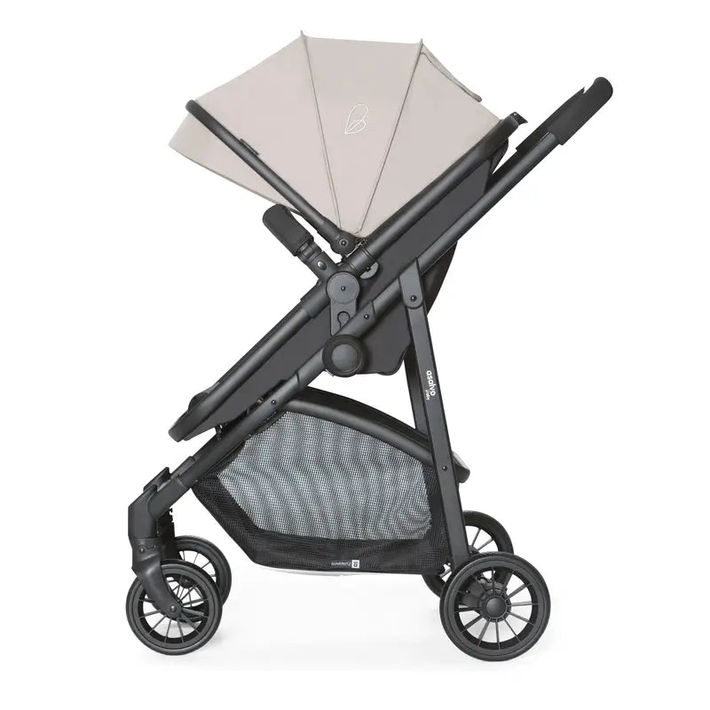 Asalvo Convertible Biarritz Stone