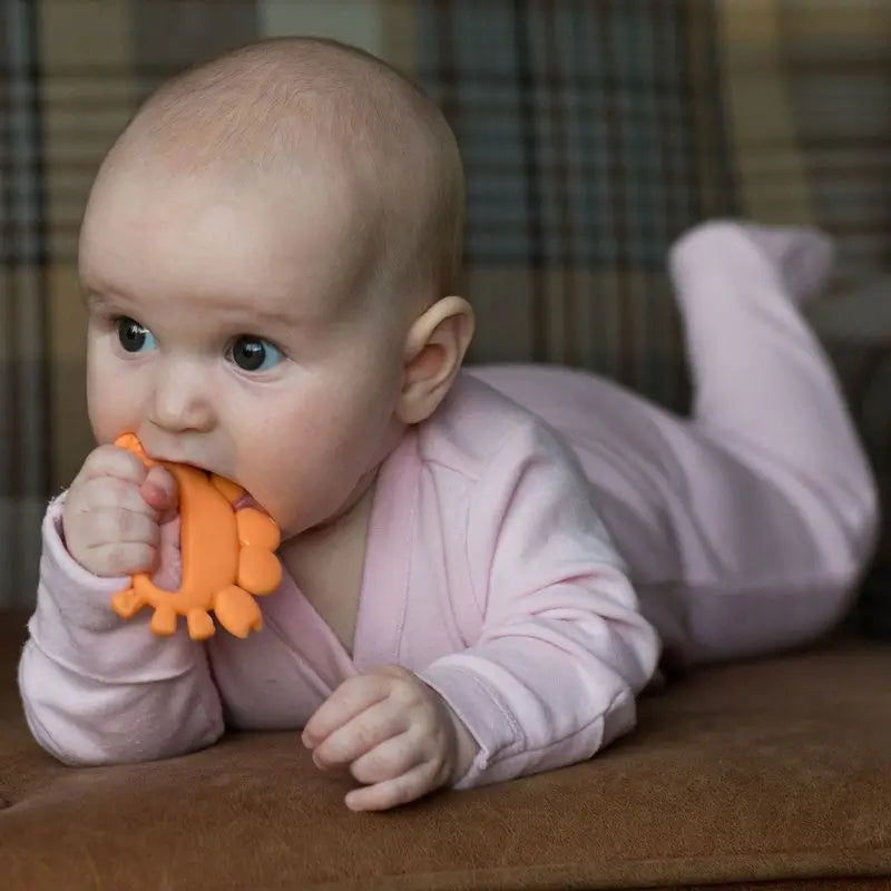Baboo Crab Teether Silicone Teether, 4+ Months Orange