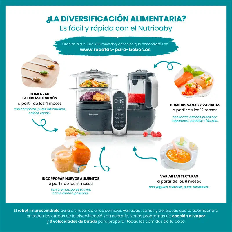 Babymoov Nutribaby (+) Industrial Grey Culinary Robot Blender & Steamer