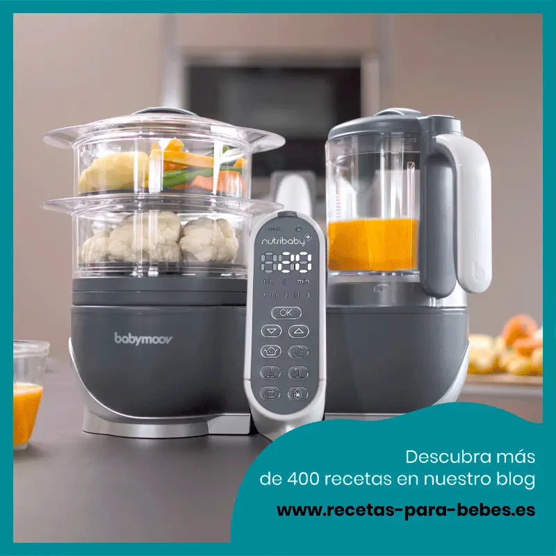 Babymoov Nutribaby (+) Industrial Grey Culinary Robot Blender & Steamer