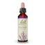 Bach Heather 20 Ml