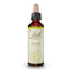 Bach Olive 20 ml
