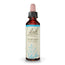 Bach Vervain 20 ml