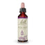 Bach Water Violet 20 ml