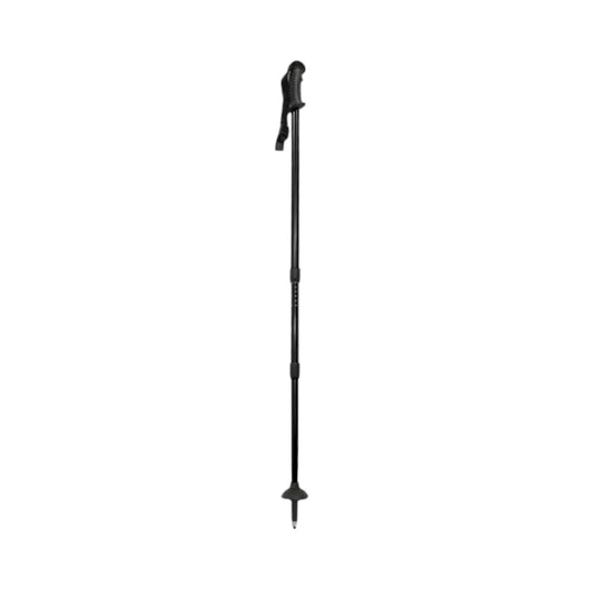 black trekking pole