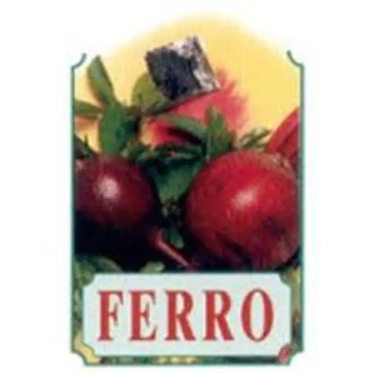 Bellsola Xer22 Ferro Syrup 250Ml