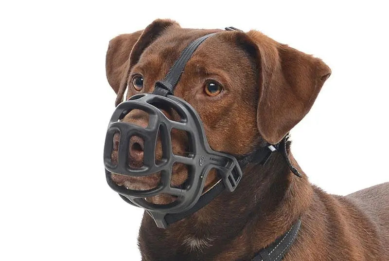 Plastic Buster Muzzle Size 1